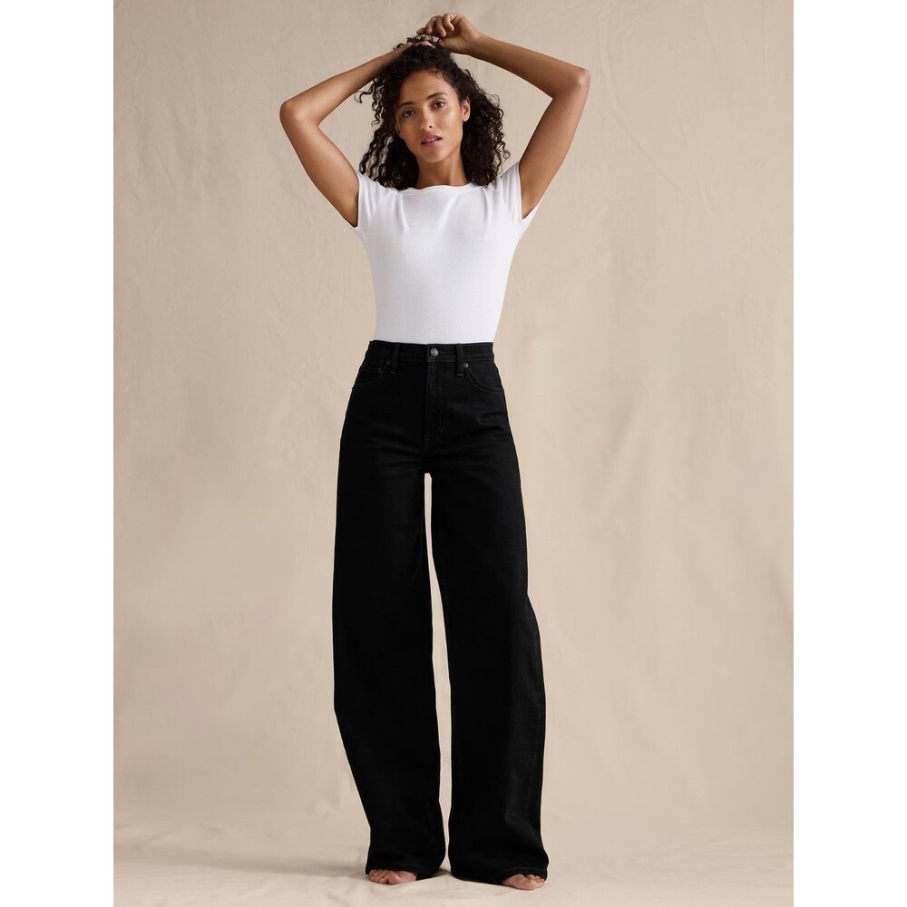 Banana Republic The Icon Classic Wide-Leg Jean Size 28 Black Rinse Wash